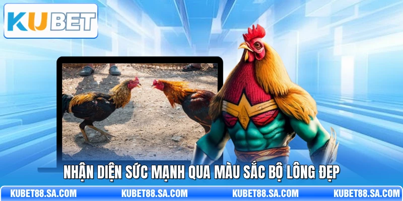 Nhận diện sức mạnh qua màu sắc bộ lông đẹp